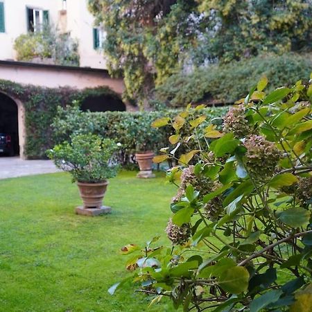 Loft Moderno Ubicato Nel Centro Storico Di Lucca Apartment Luaran gambar