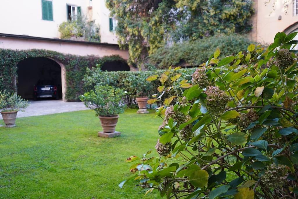 Loft Moderno Ubicato Nel Centro Storico Di Lucca Apartment Luaran gambar